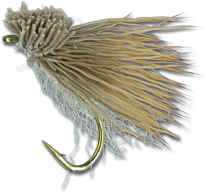 Fat Head Moth - Pest (800x800), Png Download