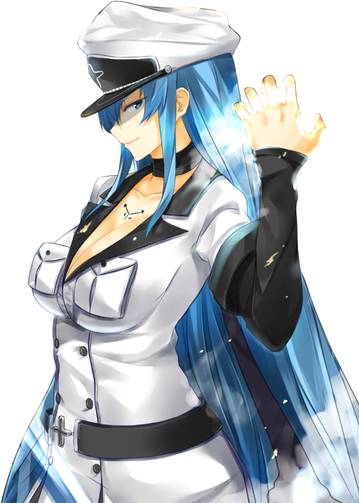 Akame Ga Kill - Akame Ga Kill Esdeath Png (765x1045), Png Download