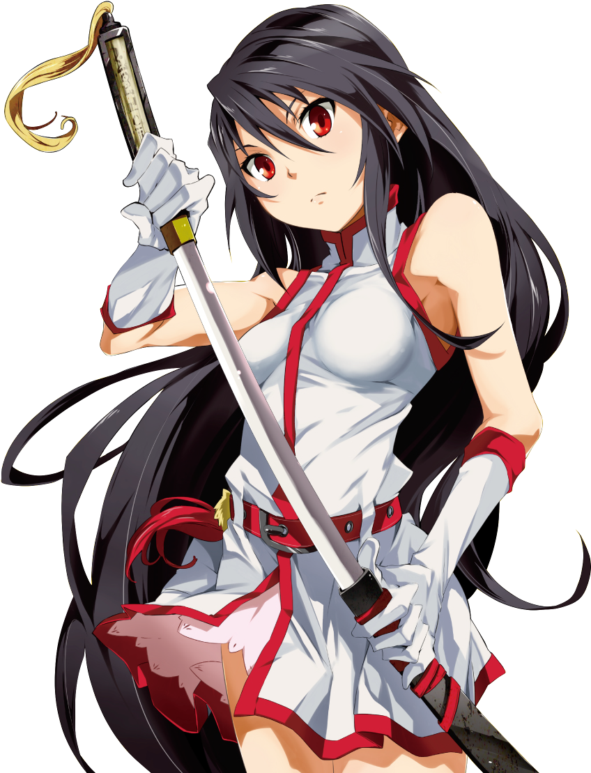 Akame Ga Kill - Akame Ga Kill Zero Png (900x1200), Png Download