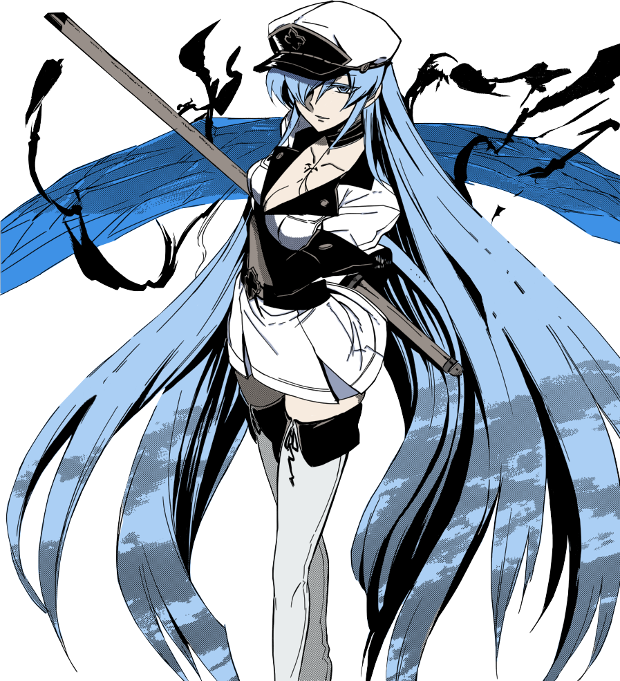 Akame Ga Kill Posted, Swell With Sadism - Akame Ga Kill Anime Wall Print Poster Decor 32x24 (897x985), Png Download