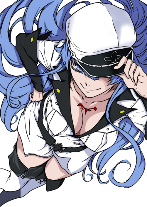 Akame Ga Kill And Esdese Image - Akame Ga Kill! (500x713), Png Download