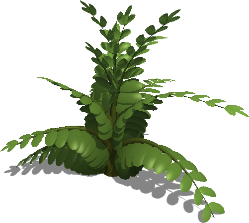 Fern Leaf Colours - Fern (529x471), Png Download