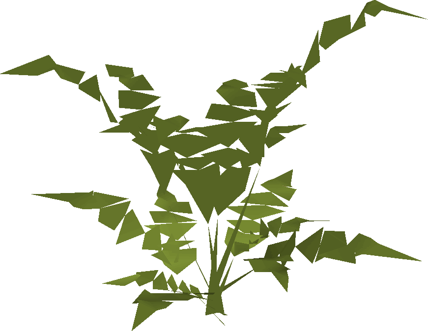Fern Built - Wiki (871x674), Png Download