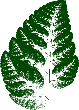 Fern1 - Illustration (600x800), Png Download
