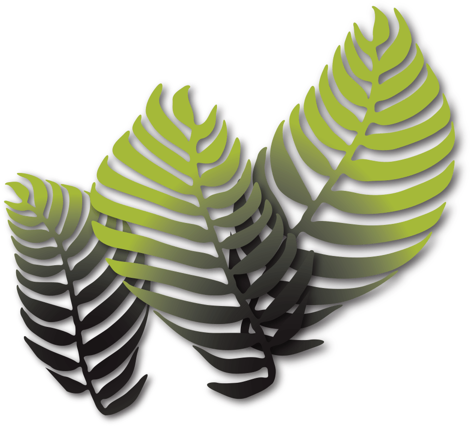 For - Museum (974x886), Png Download