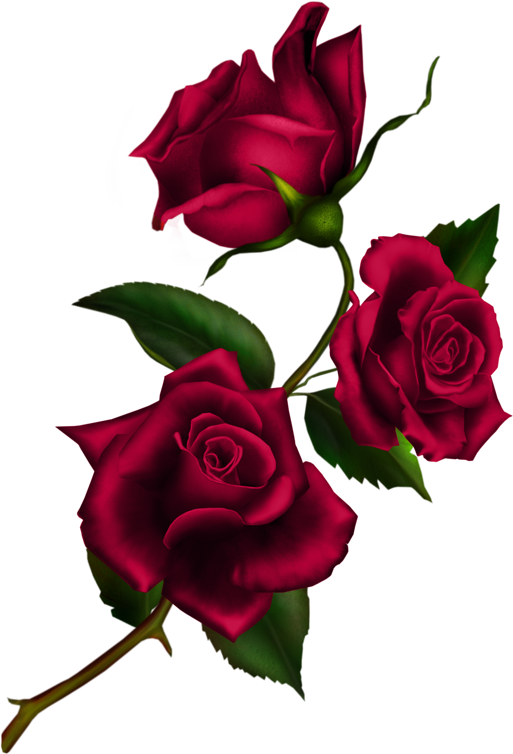 Free Download Rose Gothic Png Clipart Rose Clip Art - Kiss From A Roses (1107x1558), Png Download