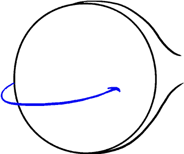 How To Draw Cartoon Fish - Circle (678x600), Png Download