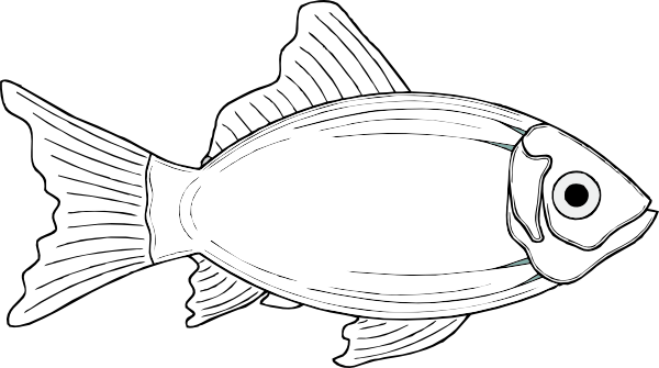 Clipart Info - Fish Clip Art (600x335), Png Download