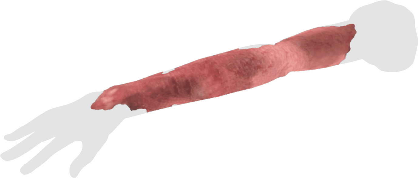 Hololens - Cervelat (1384x798), Png Download