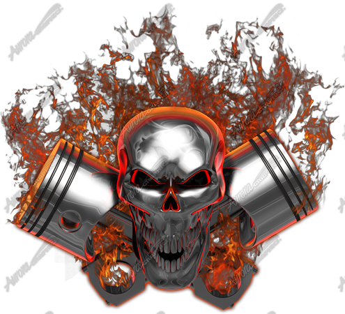 Skull (495x450), Png Download
