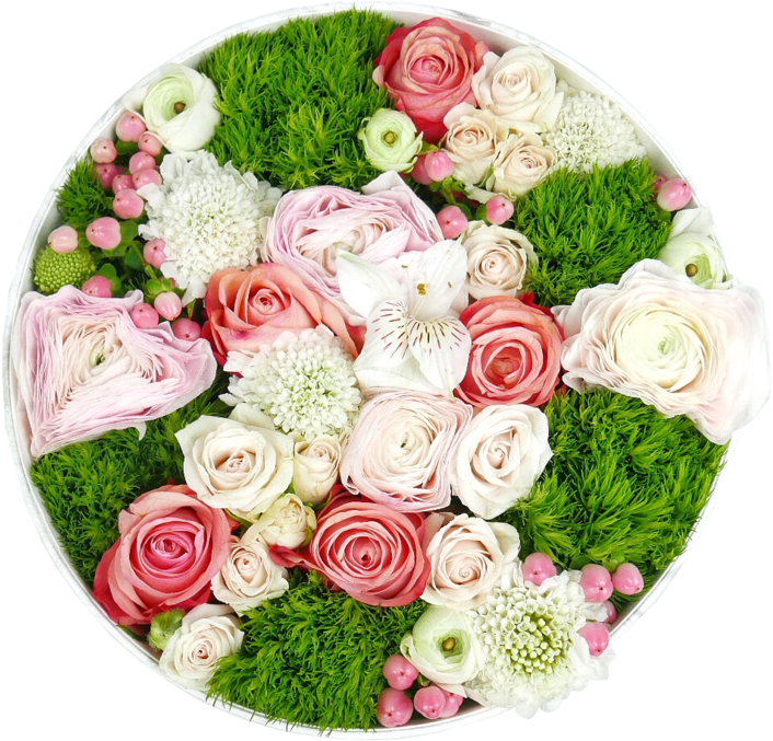 The Florté (800x800), Png Download