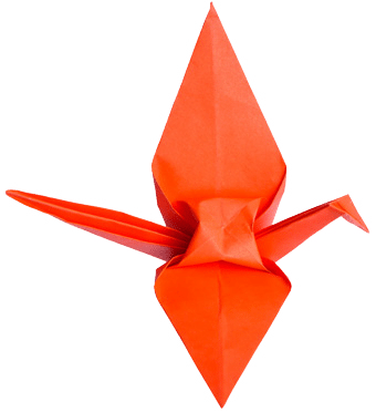 Eo News Bg Crane 340px - Photograph (340x372), Png Download