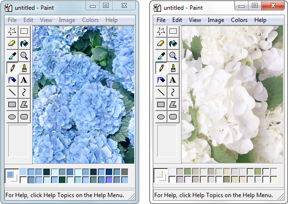 Rottngirl - Paint Windows Tumblr Png (634x459), Png Download