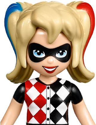Dc Super Hero Girls™ Characters - Dc Super Heroe Girls Harley Quinn (336x448), Png Download