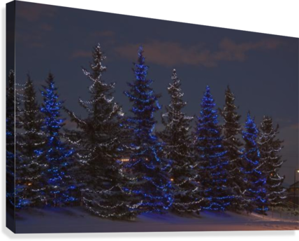 Calgary, Alberta, Canada - Great Big Canvas Michael Interisano Premium Thick-wrap (428x344), Png Download