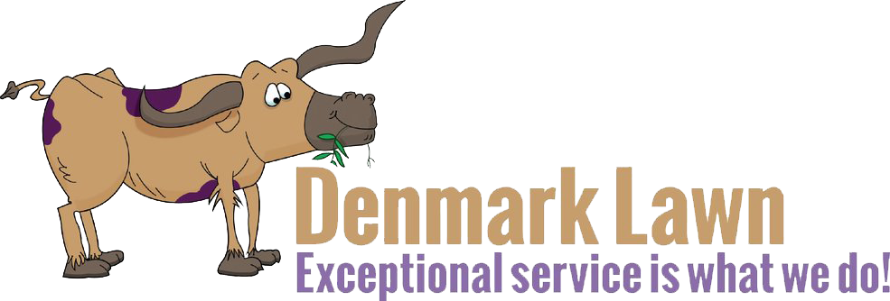 Worth Holiday Light Installation - Fuelsmart64: 64 Ways To Save Fuel, Money (985x334), Png Download