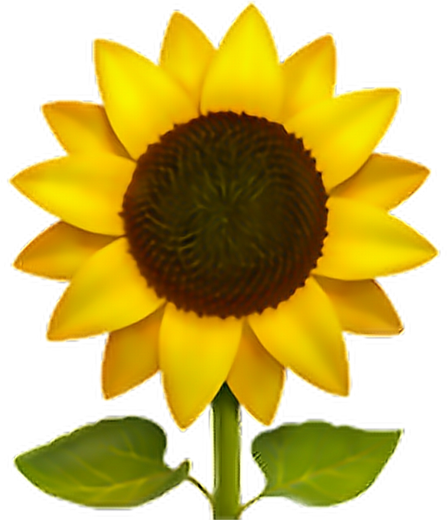 ❁ Sunflower Emoji 🌻 Sunflower Sun Flower Emoji Emotico - Sunflower Emoji Png (1024x1024), Png Download