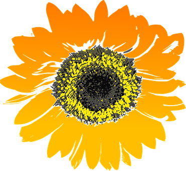 67 Free Vector Graphics Of Sunflower - Sun Flower Phone Case - Iphone 6/6s (371x340), Png Download