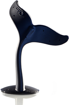 Whaletail - Octa Tablet Tail (644x362), Png Download