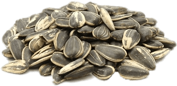 Roasted Sunflower Seeds - Buy Salted Sunflower Seeds Shell (510x269), Png Download
