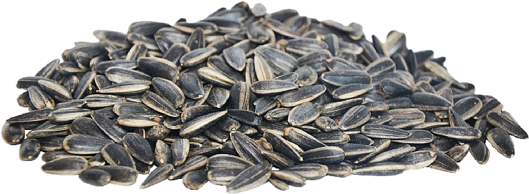 Sunflower Seeds - Roasted Sunflower Seeds (800x347), Png Download