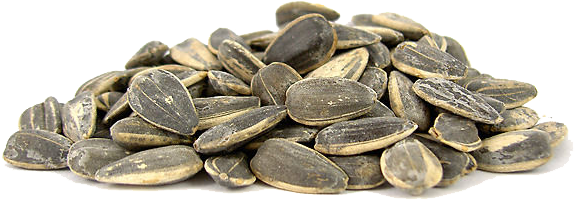 Sunflower Seeds - Nuts.com Roasted Sunflower Seeds (salted, In Shell) (600x222), Png Download