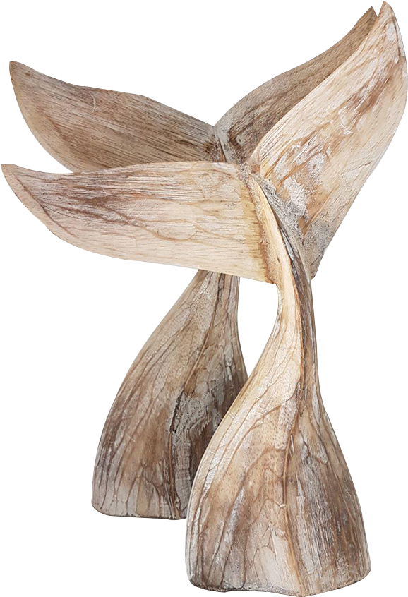 Whale Tail M - Carving (1200x900), Png Download
