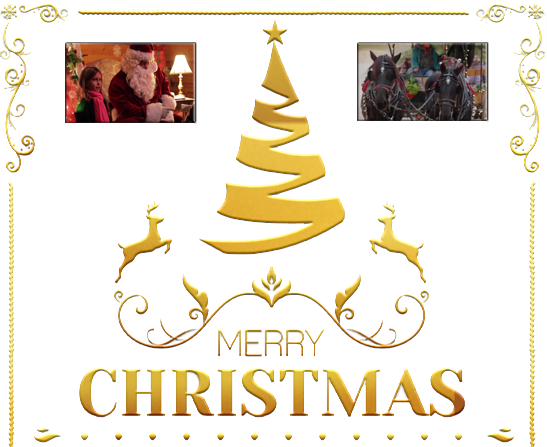 The Adventure Begins - Christmas Tree (547x447), Png Download