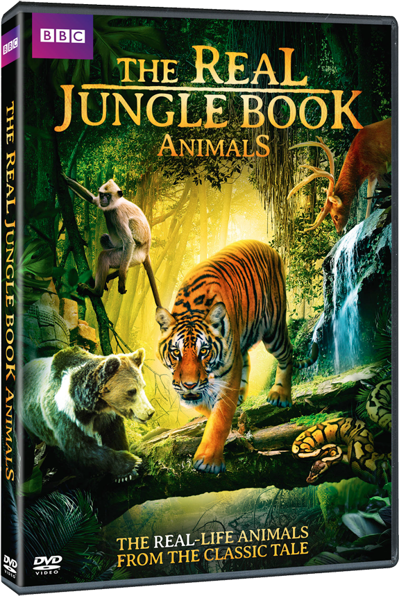 The Real Jungle Book Animals - Real Jungle Book Animals (630x900), Png Download