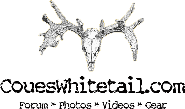 Four Deer With Four Bullets - Blog (810x486), Png Download