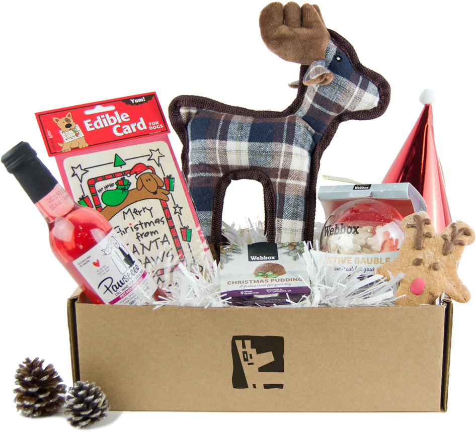 Luxury Christmas Dog Treat Box - Crunchkins Christmas Card For Dogs (1000x1000), Png Download