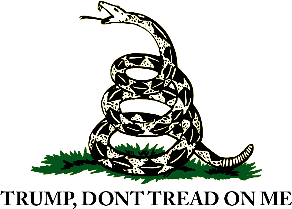 Gadsden Flag - Don T Grab My Pussy (1000x1000), Png Download