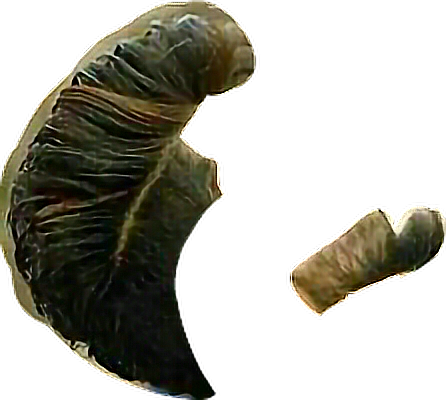 Tyga Sticker - Silver Spotted Skipper (446x400), Png Download