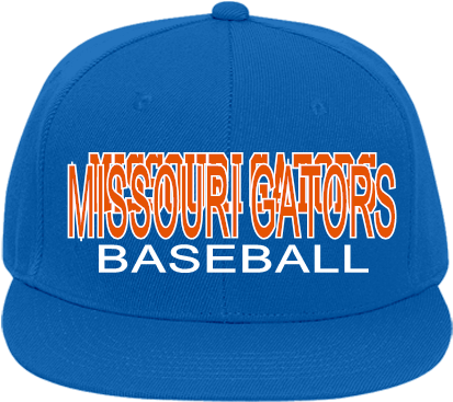 Missouri Gators Missouri Gators Baseball - Ktm (428x400), Png Download