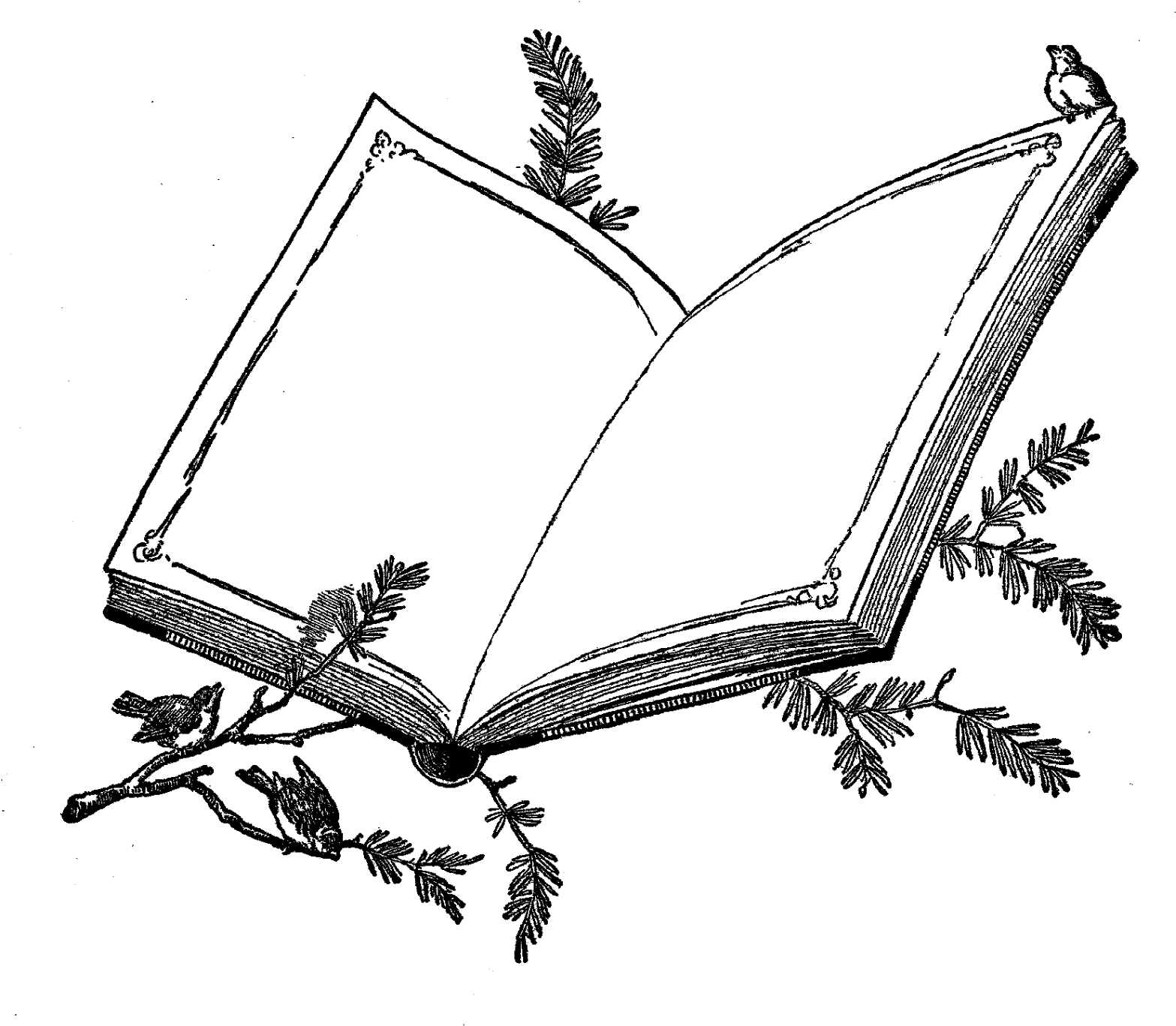 Book Frame Download Illustration - Book Frame Design (1600x1375), Png Download