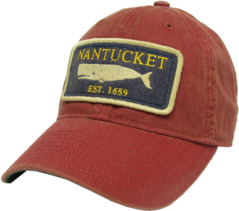 Orthopedic Foundation For Animals (500x423), Png Download