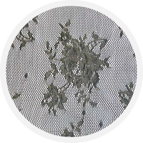 Circle (560x560), Png Download