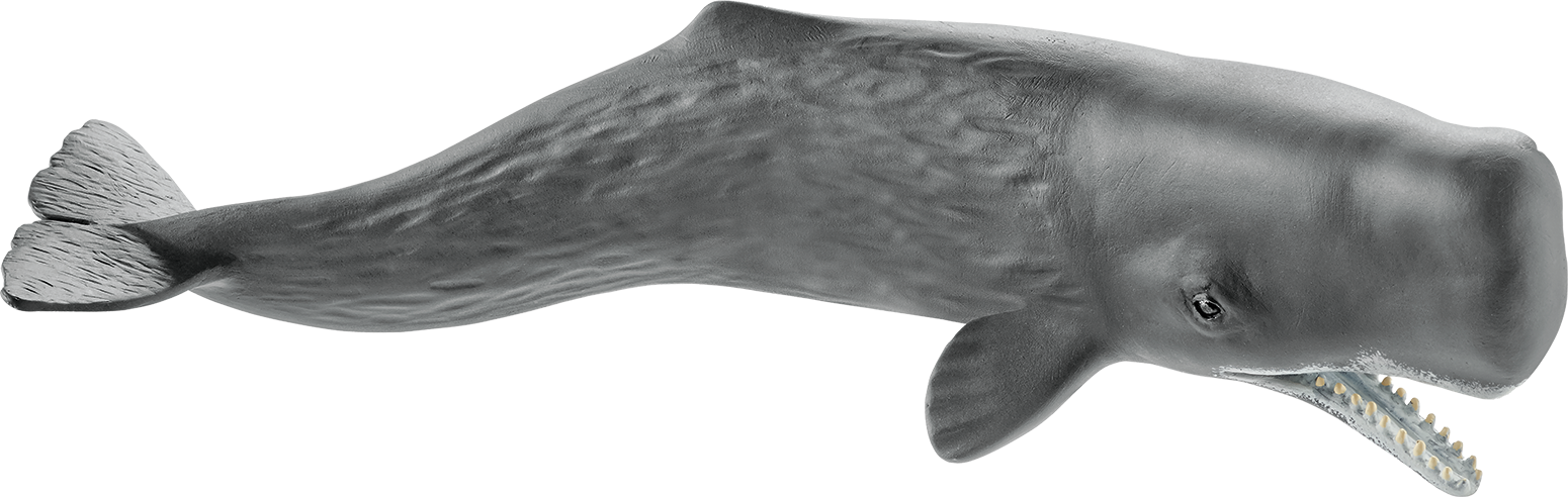 Schleich 14764 Sperm Whale, , Large - Schleich - Sperm Whale 14764 (1550x492), Png Download