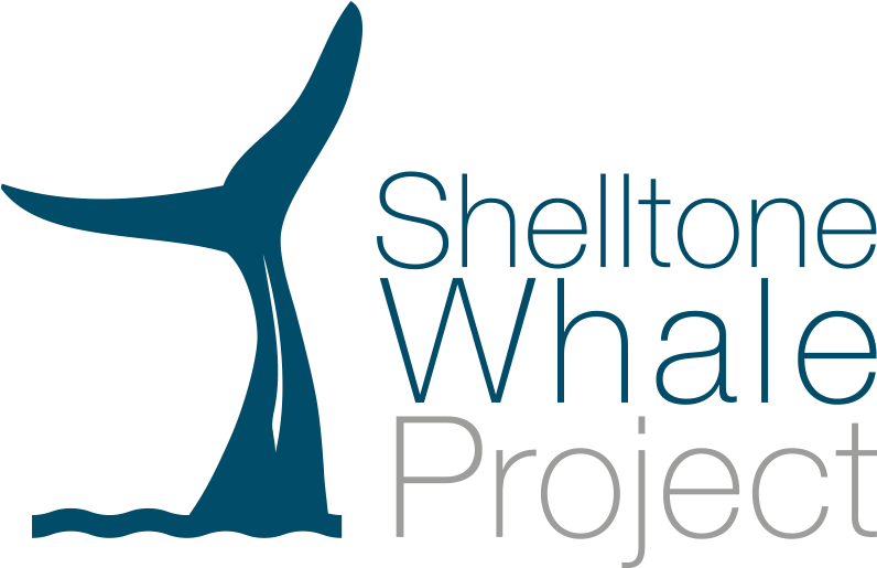 Whale, Dolphin And Sperm Whale Watching In Guadeloupe, - Square One Resources (808x520), Png Download