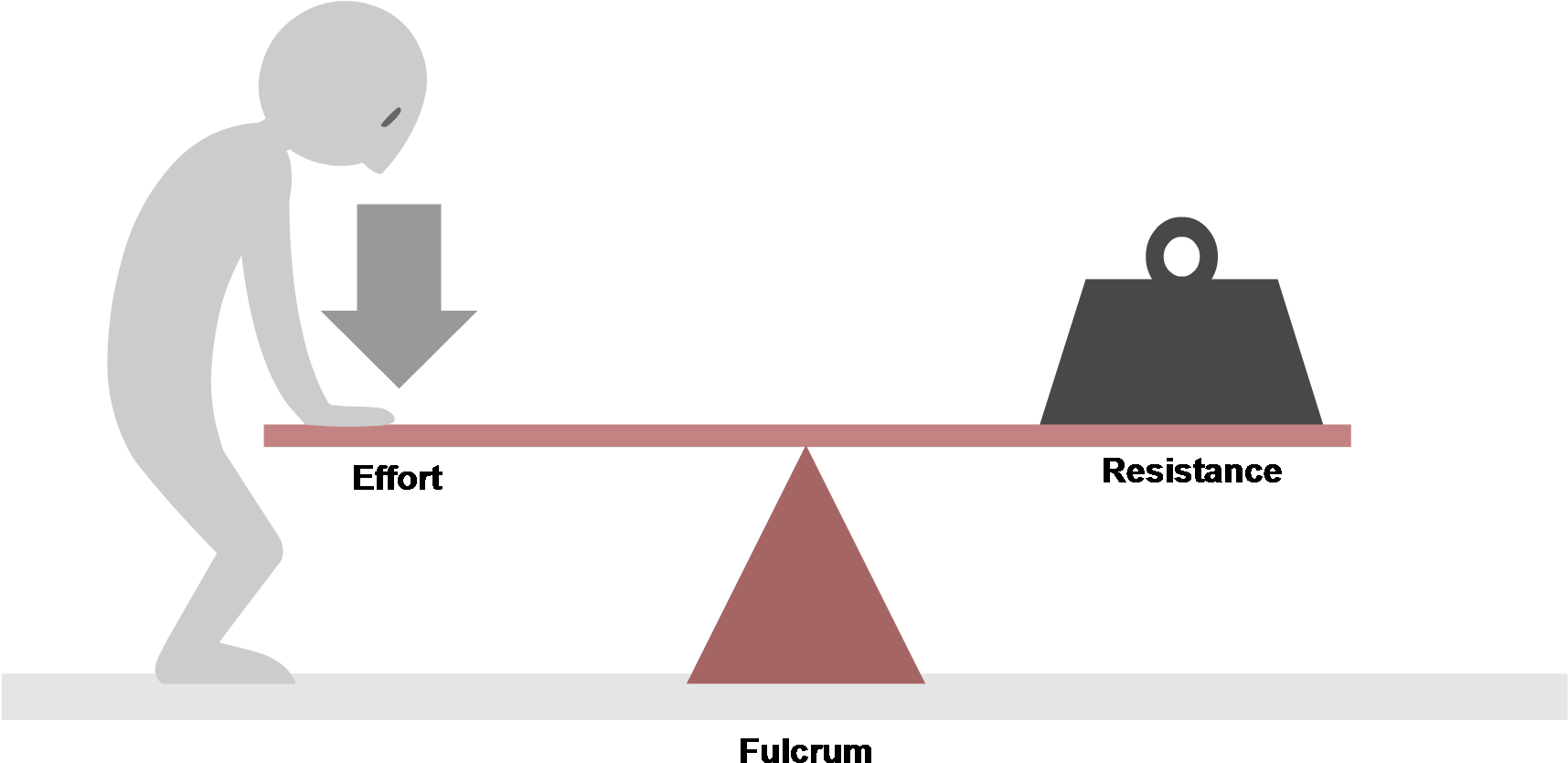 Download First Class Lever Seesaw First Class Lever Png Image With No Background Pngkey Com