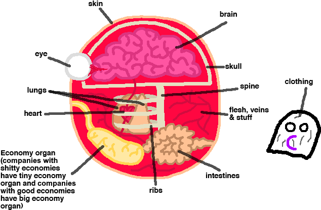 Companyball Anatomy - Creative Economy (732x461), Png Download