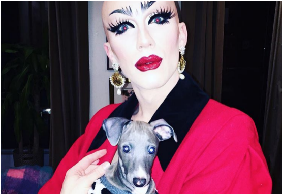 Whippet (637x421), Png Download