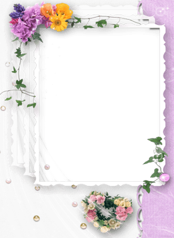 Download Wedding Frames - Wedding Photo Frames Design PNG Image with No  Background 