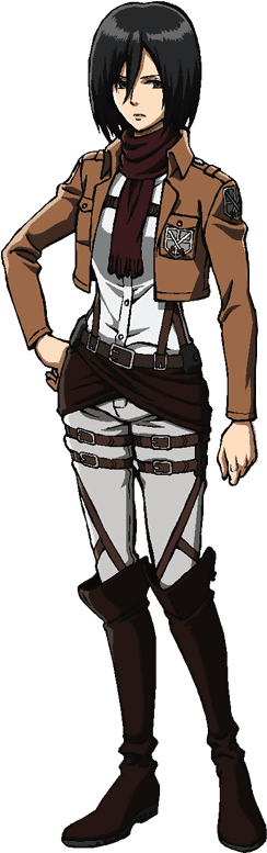 Mikasa Ackerman - Attaque Des Titans Mikasa (251x784), Png Download