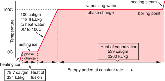 Phase (600x295), Png Download