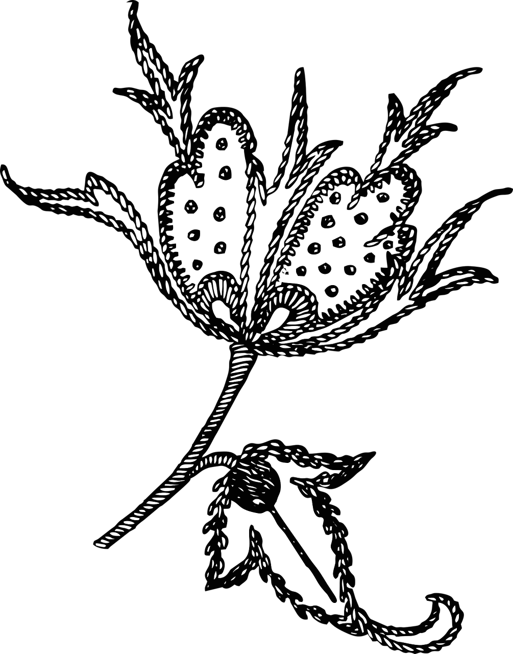 Black Embroidery Png Hd (1005x1280), Png Download