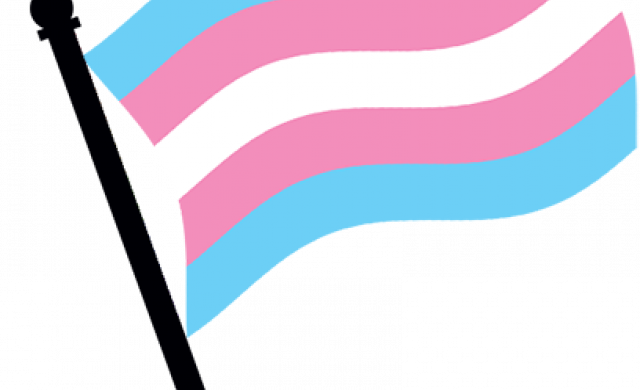 Comparative Perspectives On Transgender Identity Laws - Transgender (640x390), Png Download