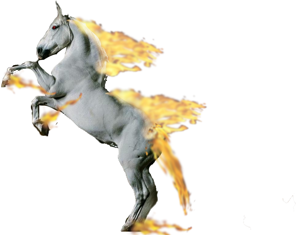 Looks Like The Second Rapidash Didn't Post Well, Here - Cheval Blanc Cabré (1366x768), Png Download
