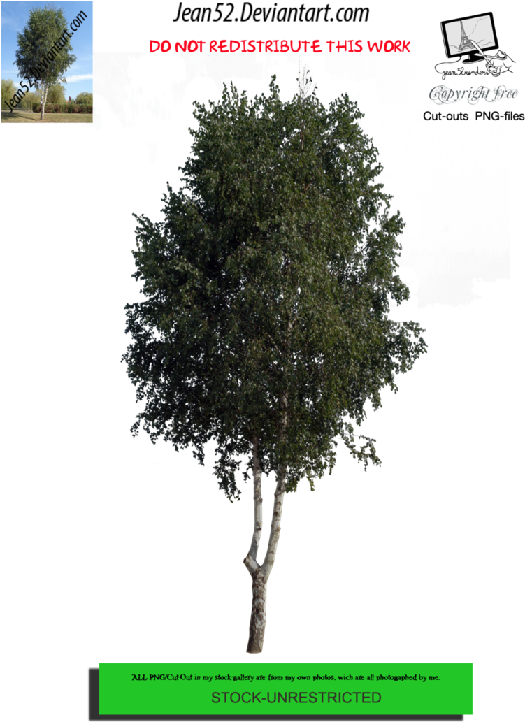 Tree Png By Jean52 - Pumpkin (774x1032), Png Download