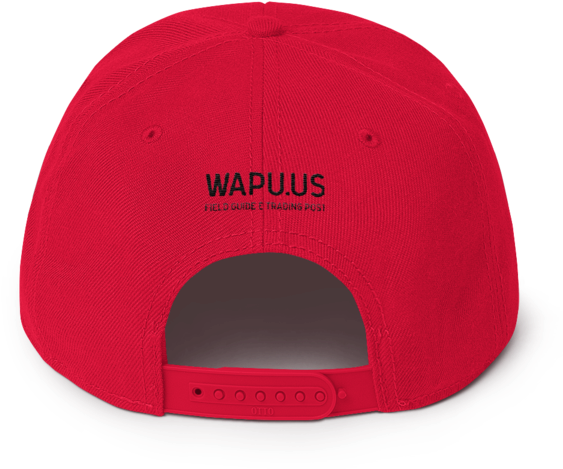 Home / Accessories / Hats / Wapuu Flat Bill Snapback - Baseball Cap (600x600), Png Download